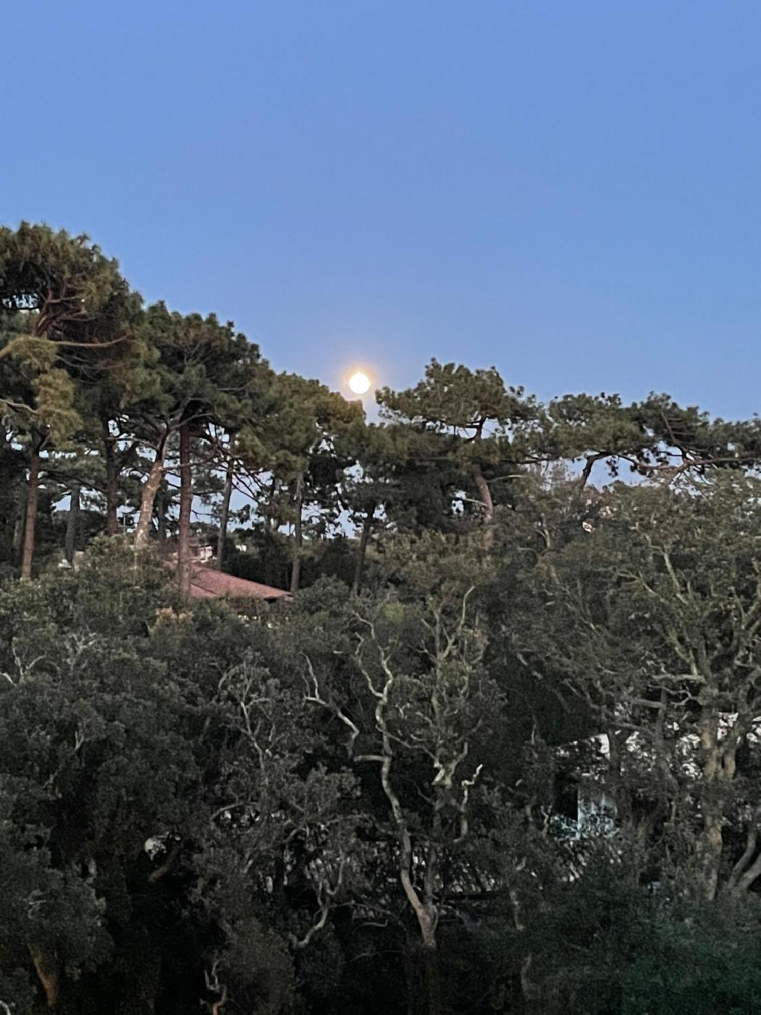 Apartamento Tao Soorts-Hossegor Exterior foto